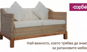 Най-важното, което трябва да знаете за ратановите мебели