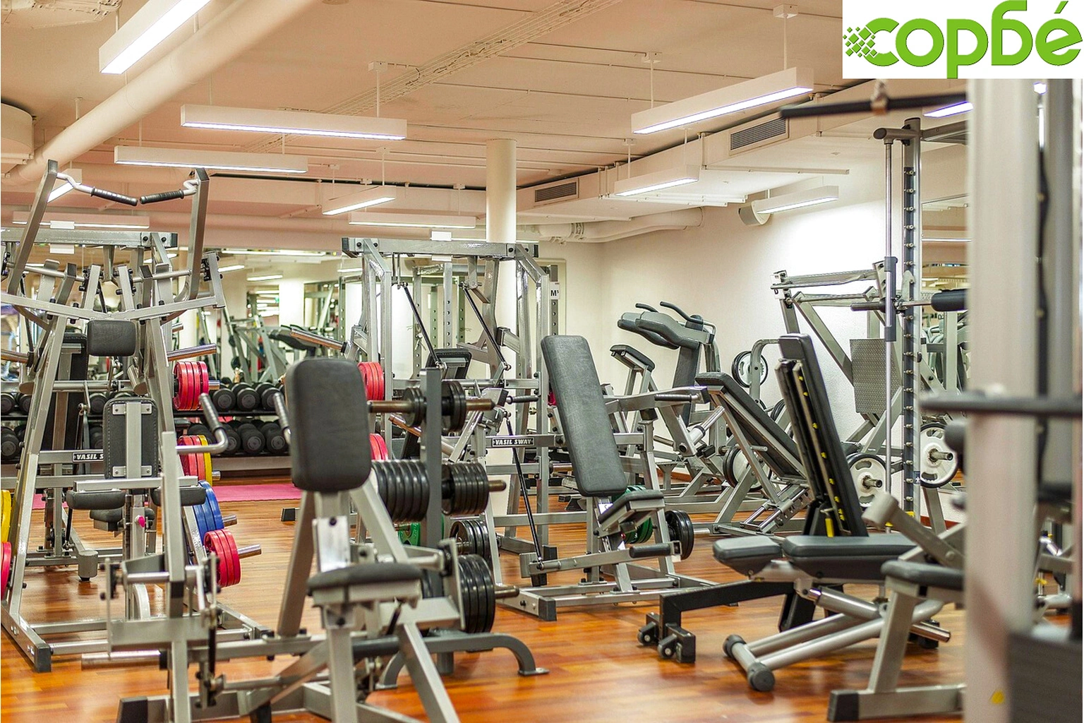 Коледни подаръци за феновете на фитнеса - нашите топ 10 предложения