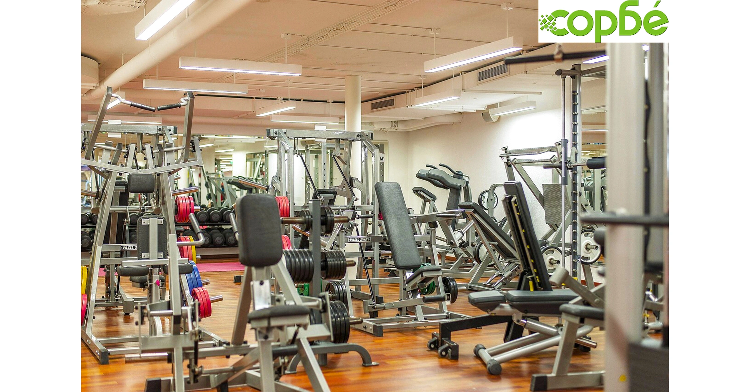 Коледни подаръци за феновете на фитнеса - нашите топ 10 предложения