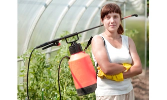 Пръскане на домати в оранжерия - съвети от практиката