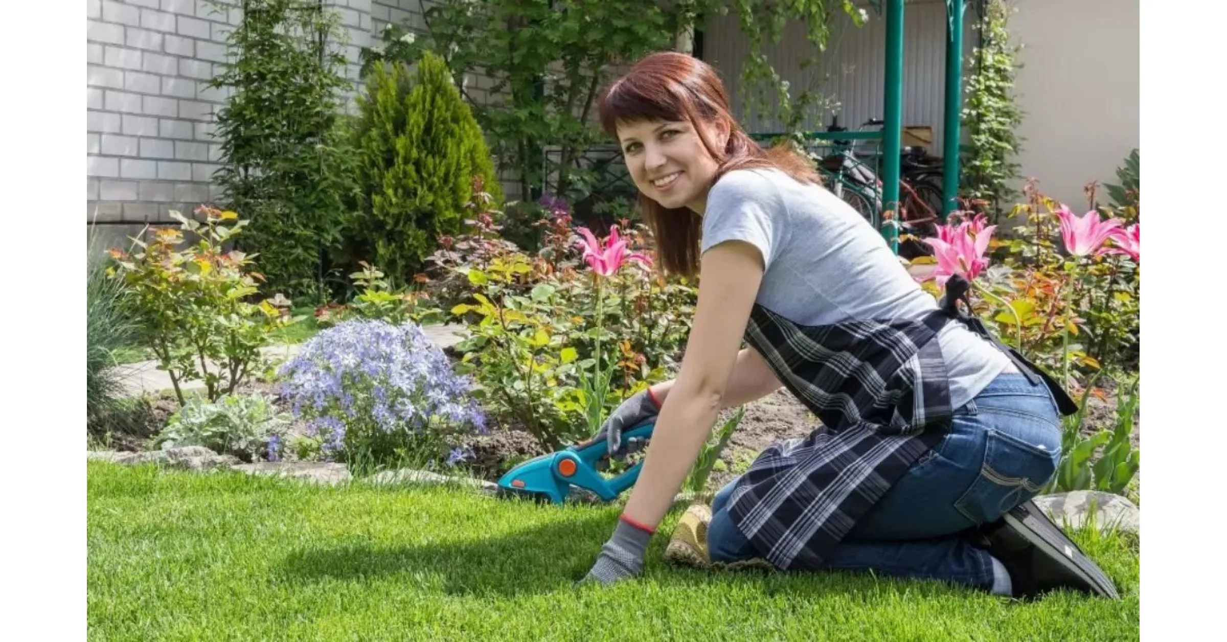 7 съвета за начинаещи градинари