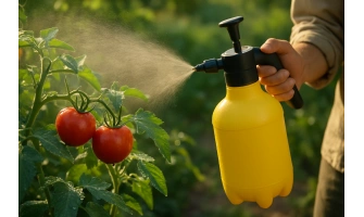 Пръскане на доматите