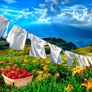 10 ml Свежа ягода и лилия Парфюмно масло