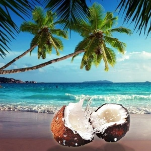 10 ml Seychelles  Парфюмно масло 
