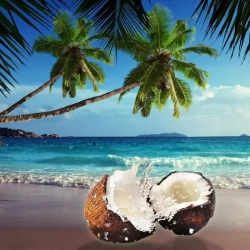 10 ml Seychelles  Парфюмно масло  ➤ топ цена ➤ sorbe.bg