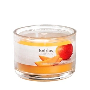 Scented Jar Candle - Exotic Mango