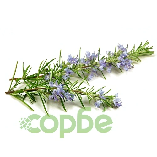 Rosemary - Pink -EO Soap Loaf ➤ топ цена ➤ sorbe.bg