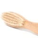 Beard Brush