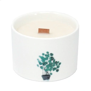 Med Botanical Candle - Mullberry Harvest