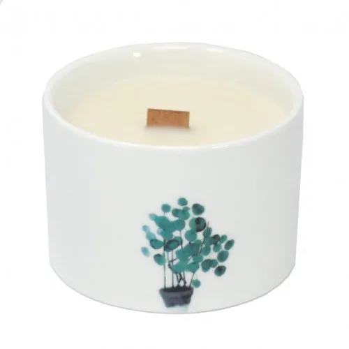 Med Botanical Candle - Mullberry Harvest ➤ топ цена ➤ sorbe.bg