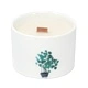 Med Botanical Candle - Mullberry Harvest