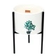 Iron Botanical Candle Holder