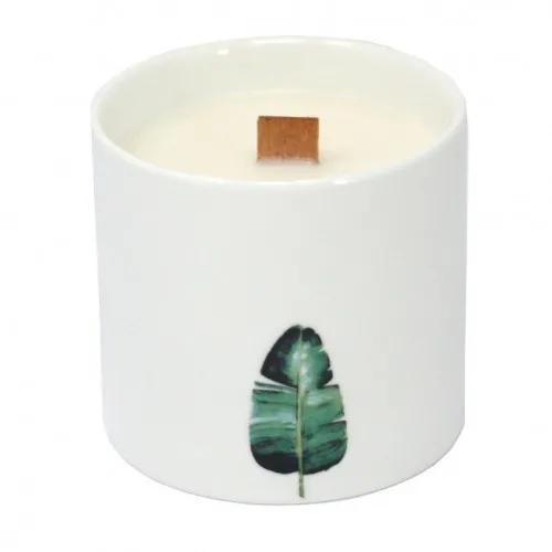 Large Botanical Candle - Wild Jasmine ➤ топ цена ➤ sorbe.bg