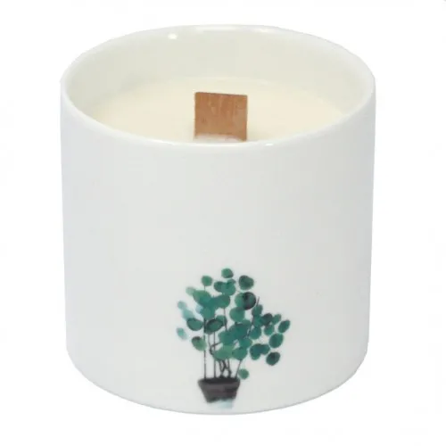 Large Botanical Candle - Wild Jasmine ➤ топ цена ➤ sorbe.bg