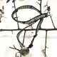 Double Wrap Bracelet - Amazonian and Flower Detail