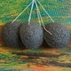 Konjac Sponge - Charcoal