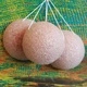 Konjac Sponge - Rose