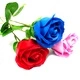 Single Rose - Red Rose