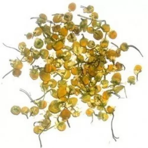 Chamomile Heads (1kg) на топ цена от sorbe.bg Chamomile Heads (1kg) ➤ топ цена ➤ sorbe.bg