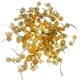 Chamomile Heads (1kg) Chamomile Heads (1kg)