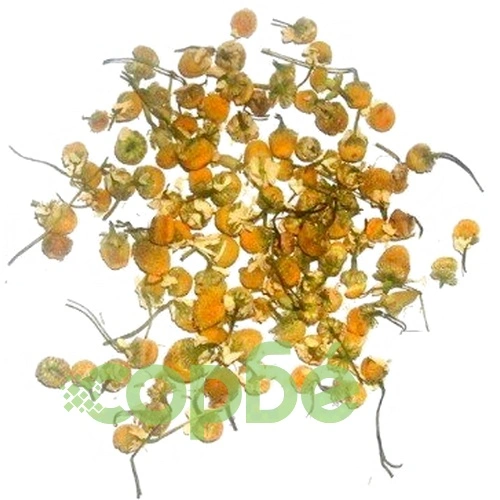 Chamomile Heads (1kg) на топ цена от sorbe.bg Chamomile Heads (1kg) ➤ топ цена ➤ sorbe.bg