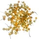 Chamomile Heads (1kg) Chamomile Heads (1kg)