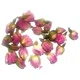 Pink Rose Buds (0.5kg)