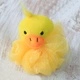 Cotton Animal Scrunchies 5 asst (display tube) - 27gm