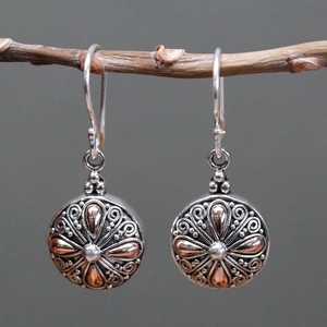 Silver and Gold Earring - Classic Round