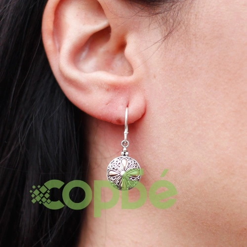 Silver and Gold Earring - Classic Round ➤ топ цена ➤ sorbe.bg