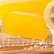 Chamomile and Lemon - Solid Shampoo Chamomile and Lemon - Solid Shampoo