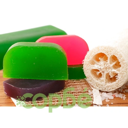 Coconut and Lime - Solid Shampoo ➤ топ цена ➤ sorbe.bg