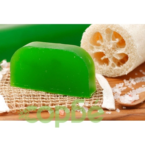 Eucalyptus - Solid Shampoo ➤ топ цена ➤ sorbe.bg