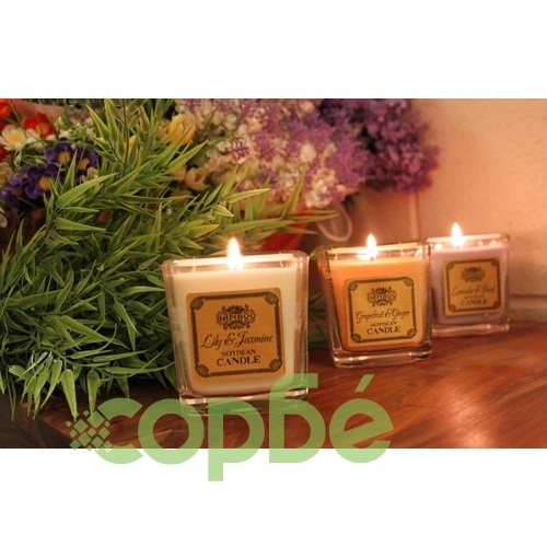 Soybean Jar Candle - Lily and Jasmine на топ цена от sorbe.bg Soybean Jar Candle - Lily and Jasmine ➤ топ цена ➤ sorbe.bg