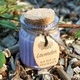 Lavender Soy Pot of Fragrance Candles