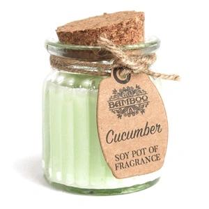 Cucumber Soy Pot of Fragrance Candles