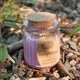 Pomegranate Soy Pot of Fragrance Candle