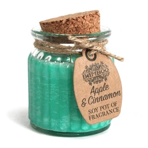 Apple and Cinnamon Soy Pot of Fragrance Candle