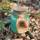 Apple and Cinnamon Soy Pot of Fragrance Candle