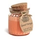 Spiced Orange Soy Pot of Fragrance Candle