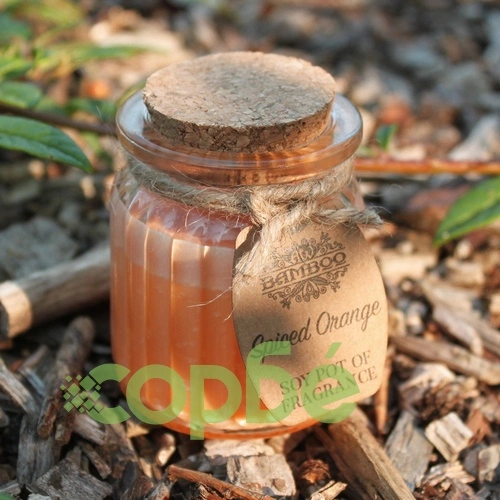Spiced Orange Soy Pot of Fragrance Candle ➤ топ цена ➤ sorbe.bg