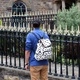 Traveler Backpack - 3 Pocket Black Swallows