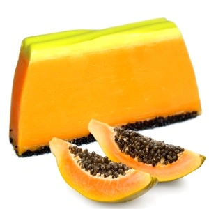 Tropical Paradise Soap Loaf - Papaya