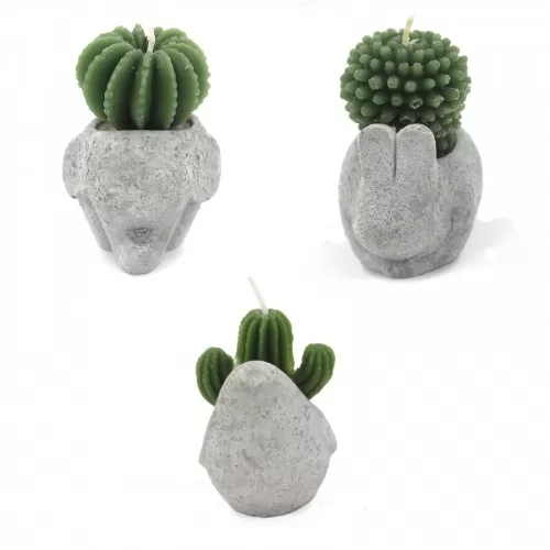 Cactus Candles - Animal Pot (asst) Display ➤ топ цена ➤ sorbe.bg
