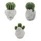 Cactus Candles - Animal Pot (asst) Display