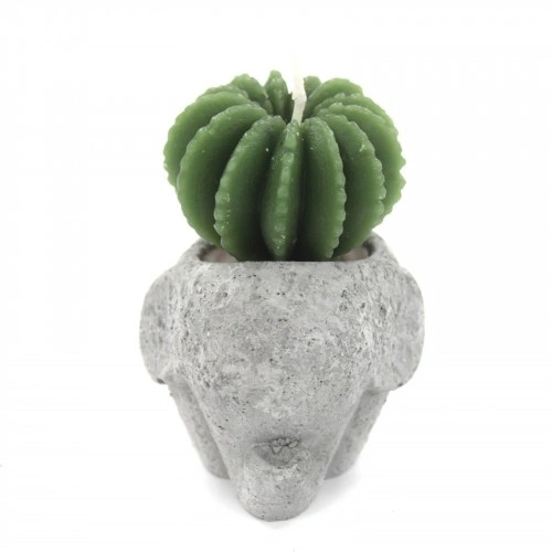 Cactus Candles - Animal Pot (asst) Display ➤ топ цена ➤ sorbe.bg