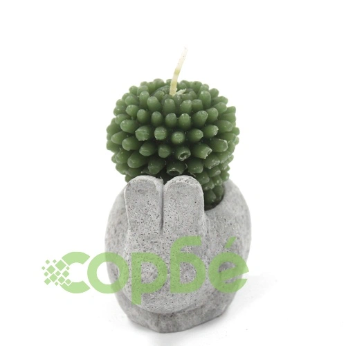 Cactus Candles - Animal Pot (asst) Display ➤ топ цена ➤ sorbe.bg
