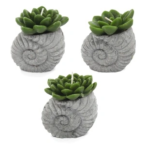 Cactus Candles - Shell Pot (asst) Display