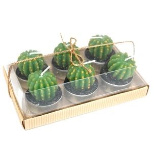 Set of 6 Barrel Cactus Tealights in Gift Box