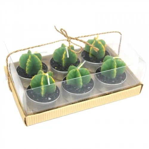 Set of 6 Monks Cactus Tealights in Gift Box ➤ топ цена ➤ sorbe.bg
